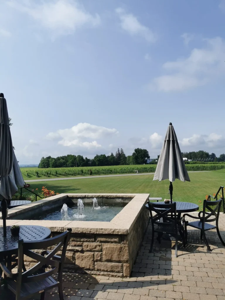 Vue sur les vignes depuis la terrasse de Peller Estates