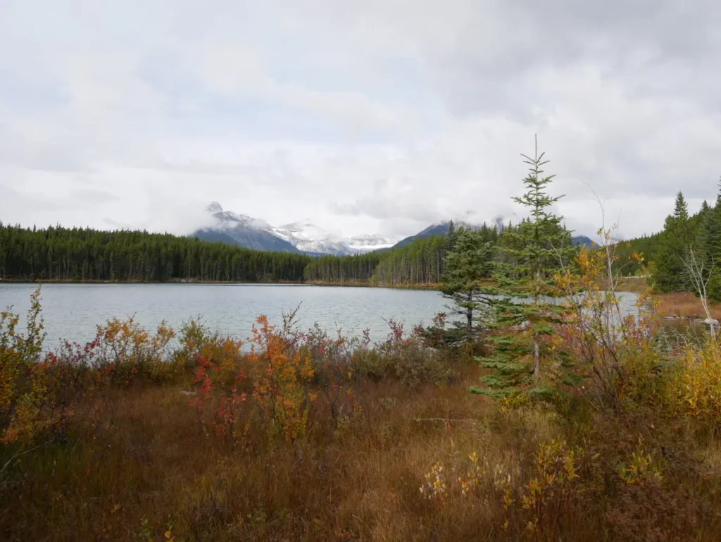 Lac Herbert sous un ciel nuageux avec des montagnes enneigées en arrière plan