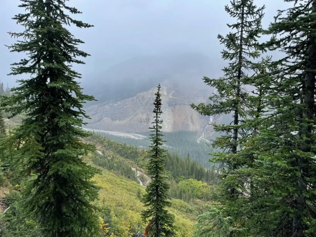 Vue brumeuse sur les Chutes Takakkaw