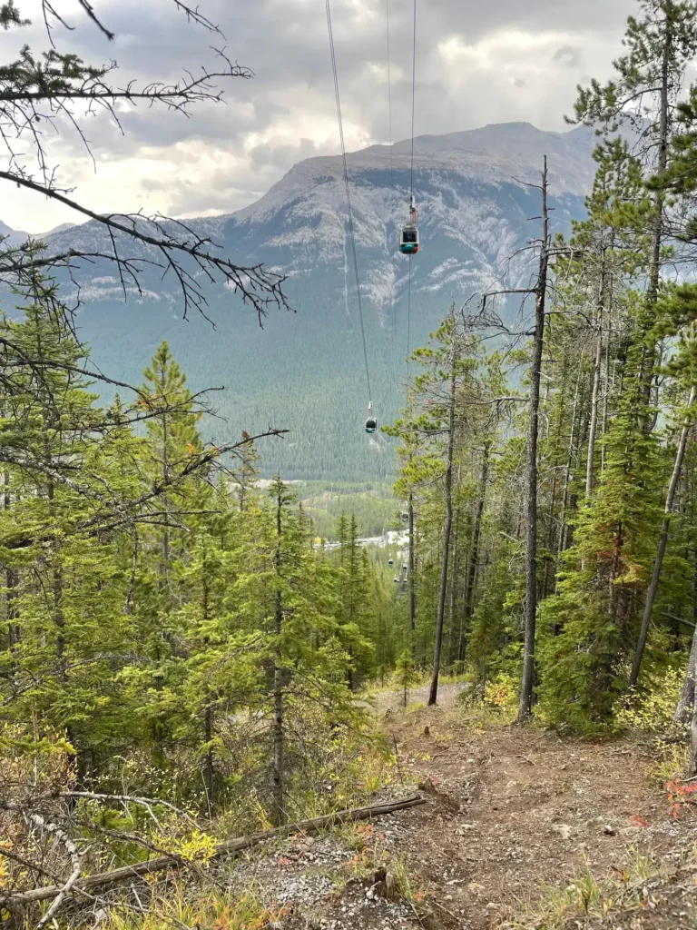 Vue depuis le sentier de la randonnée sur les remontées mécaniques