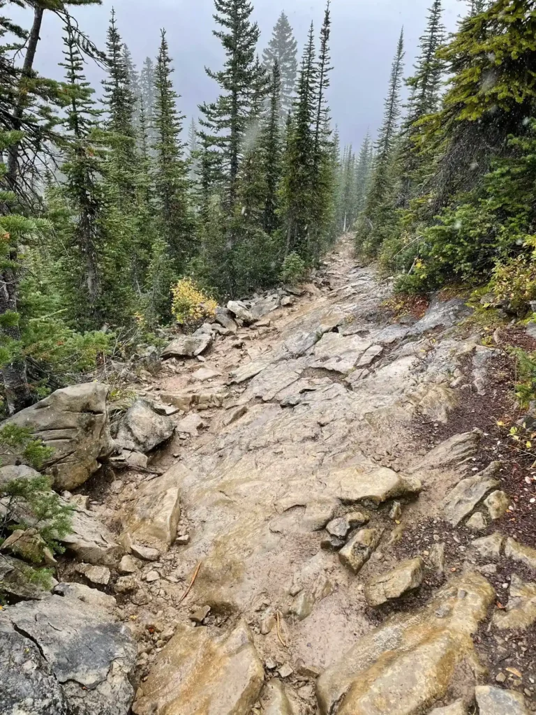 Sentier boueux et étroit de la randonnée Takakkaw Falls and Yoho Lake Loop