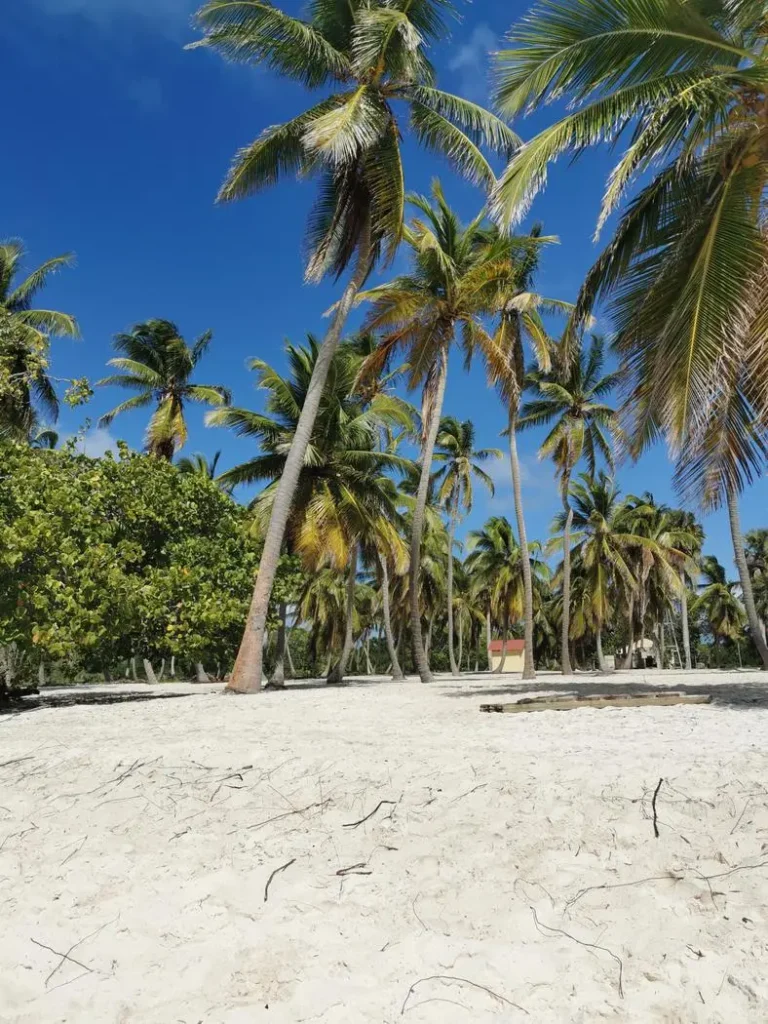 Canto de la Playa