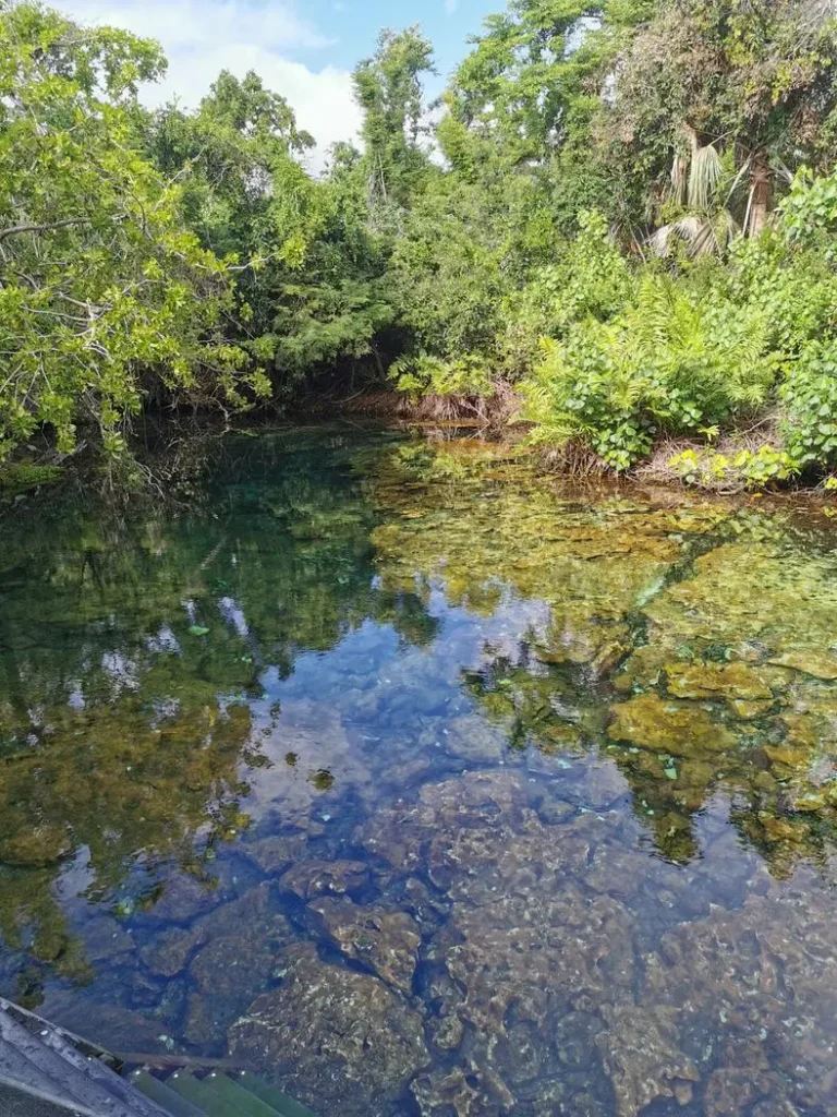 Lagon Indigeneous Eyes Reserve