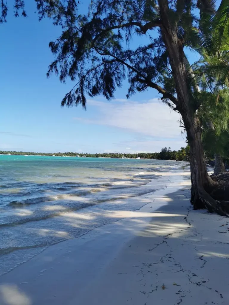 Plage Bavaro