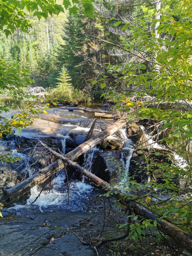 Petite cascade naturelle lors du Track and Tower Trail