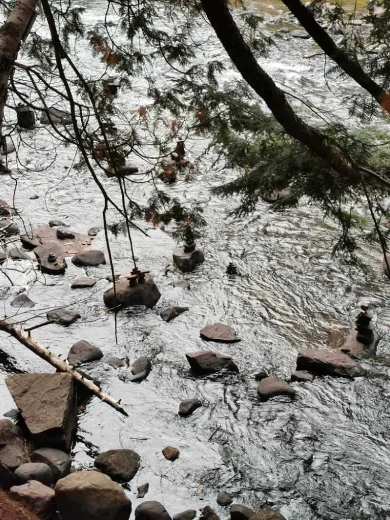 Vue sur les whiskey rapids