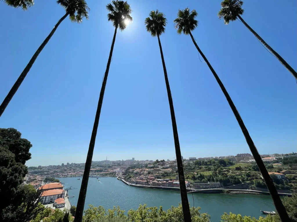 Vue sur le Douro