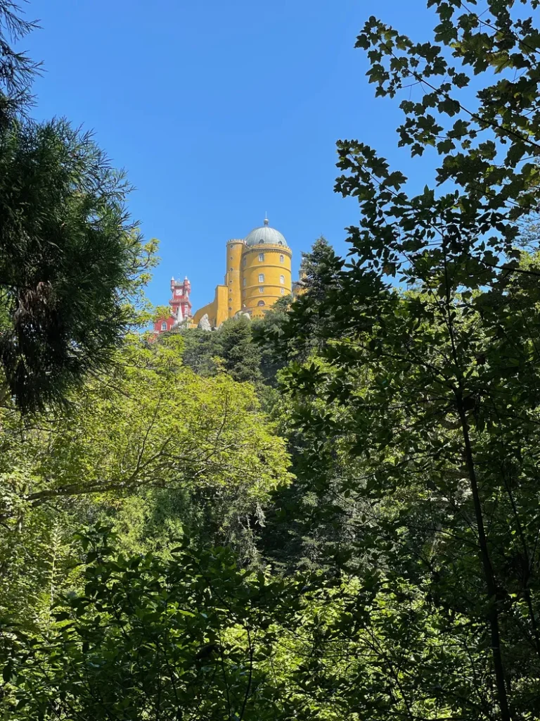 Point de vue reculé sur le Palais de Pena