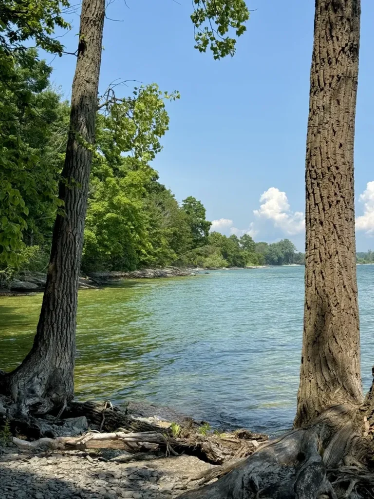 Belle vue du lac depuis la côte, avec des vagues douces et un ciel dégagé en toile de fond.