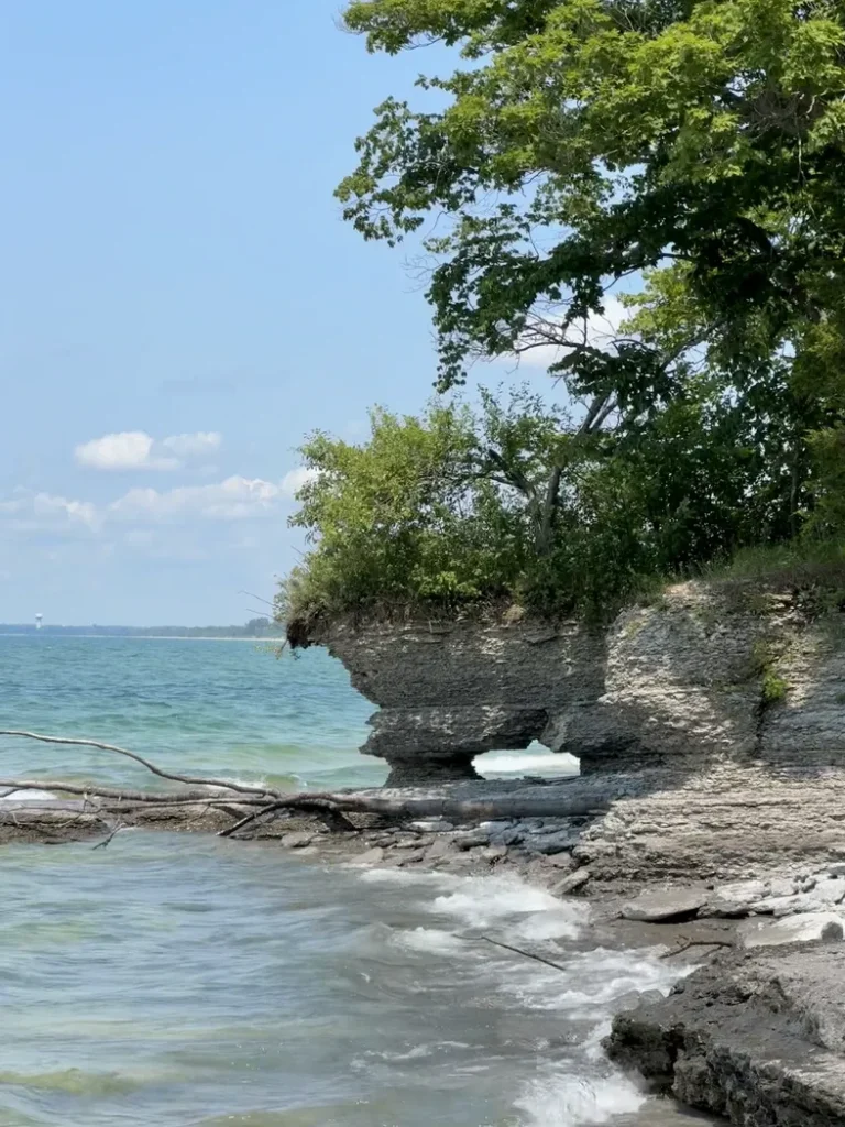 Une côte rocheuse bordée d'arbres, avec des vagues qui s'écrasent doucement sur les rochers.