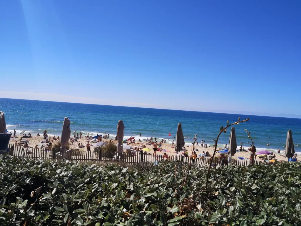 Une colline offre une vue imprenable sur une plage, où le ciel bleu rencontre les vagues scintillantes.