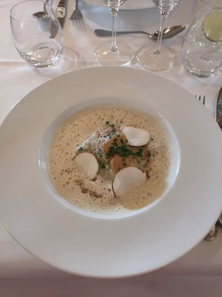 Une assiette blanche avec un bouillon et des ravioles appétissantes.