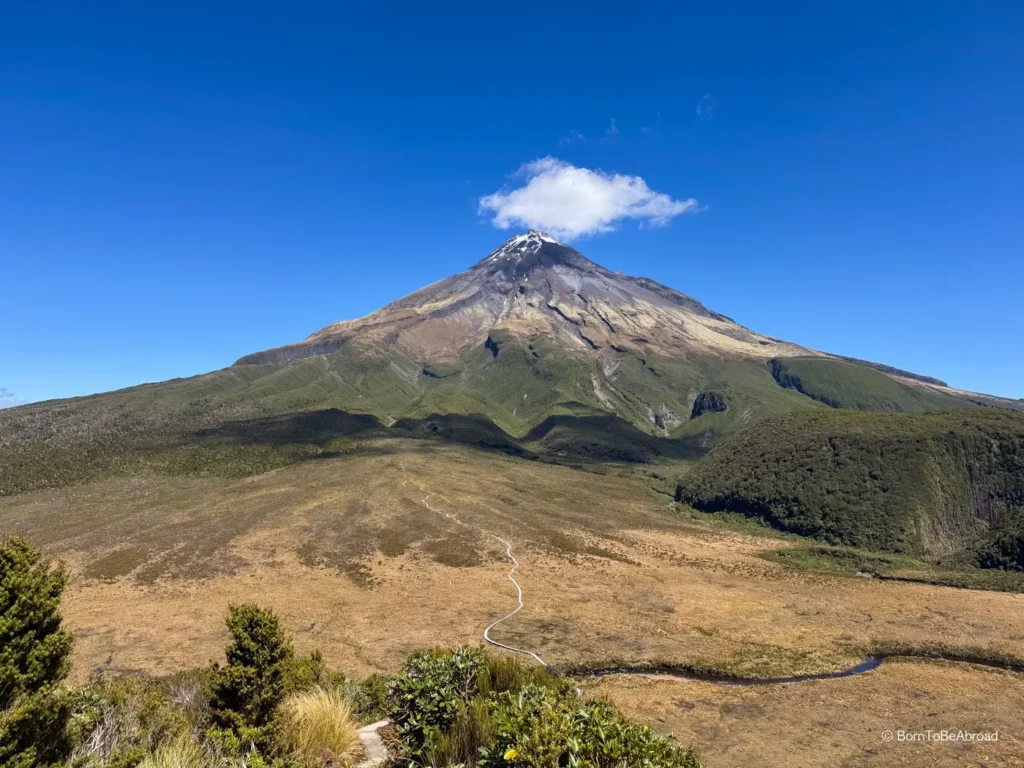 Le marais Ahukawakawa devant le mont Taranaki