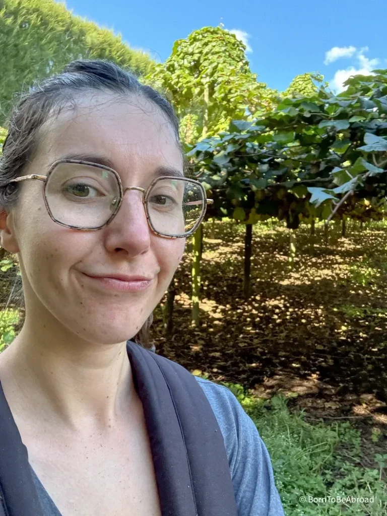 Gwen dans la récolte des kiwis durant son PVT en Nouvelle-Zélande