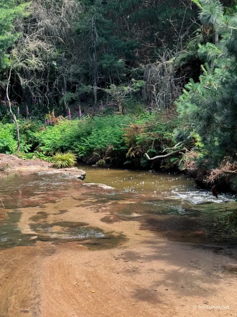 Kerosene Creek, une rivière qui à la couleur de l'essence