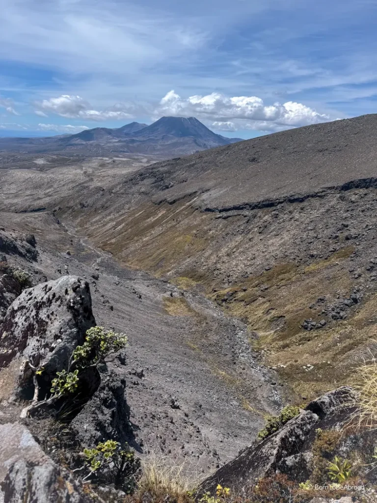 Vue sur la vallée volcanique du parc national de Tongariro