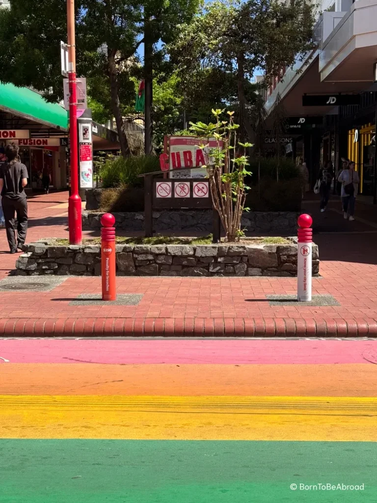 Rue piétonne, Cuba Street, à Wellington