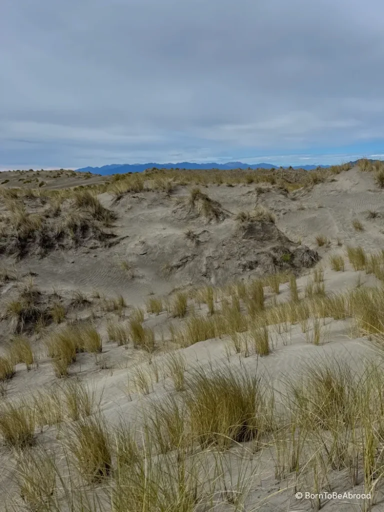 Des dunes de sable sous un temps ensoleillé