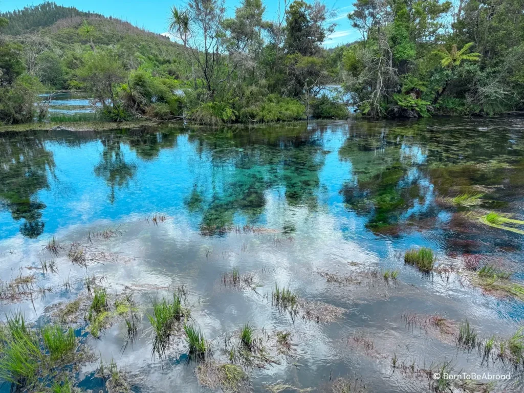 Un lac d'eau douce aux eux turquoises et vertes