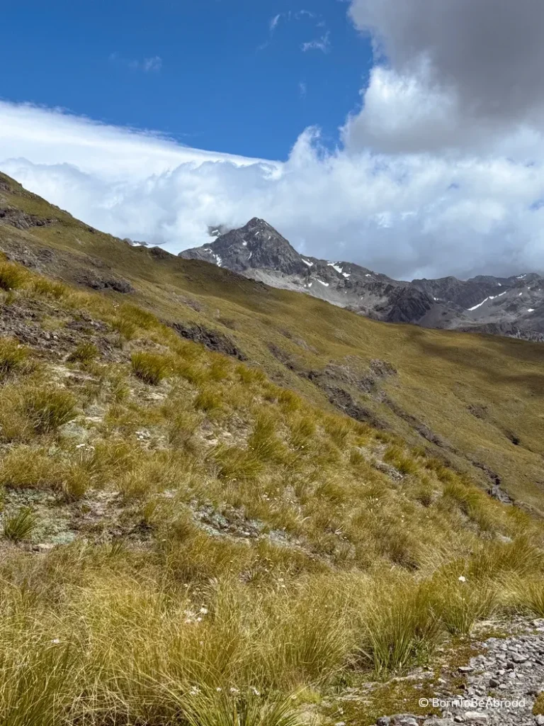 Vue sur la plaine néo-zéolandaise avec une montagne enneigée en fond