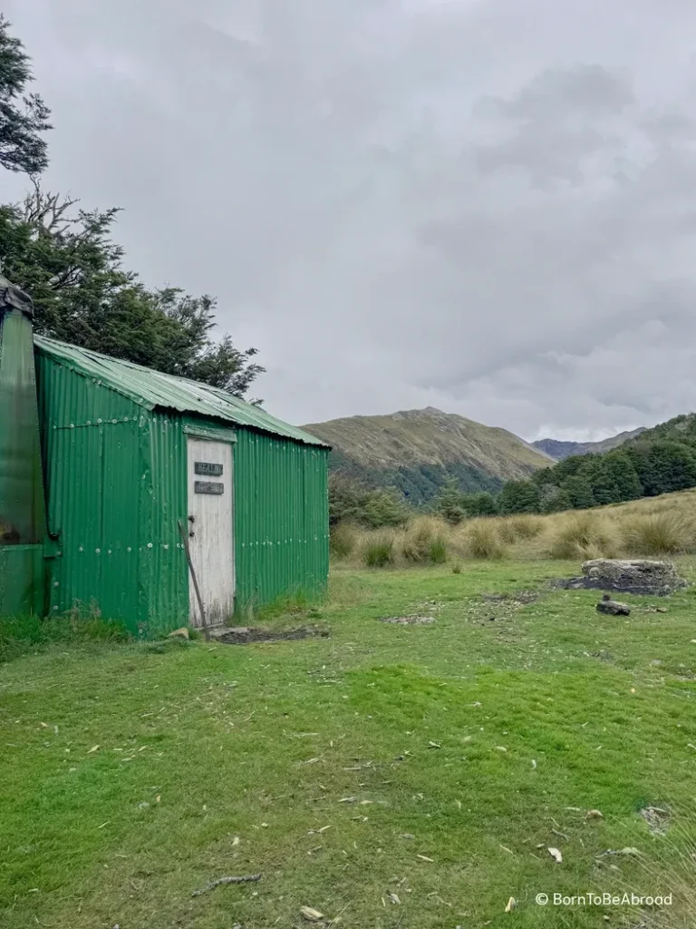 Hut verte au milieu d'une étendue d'herbe haute