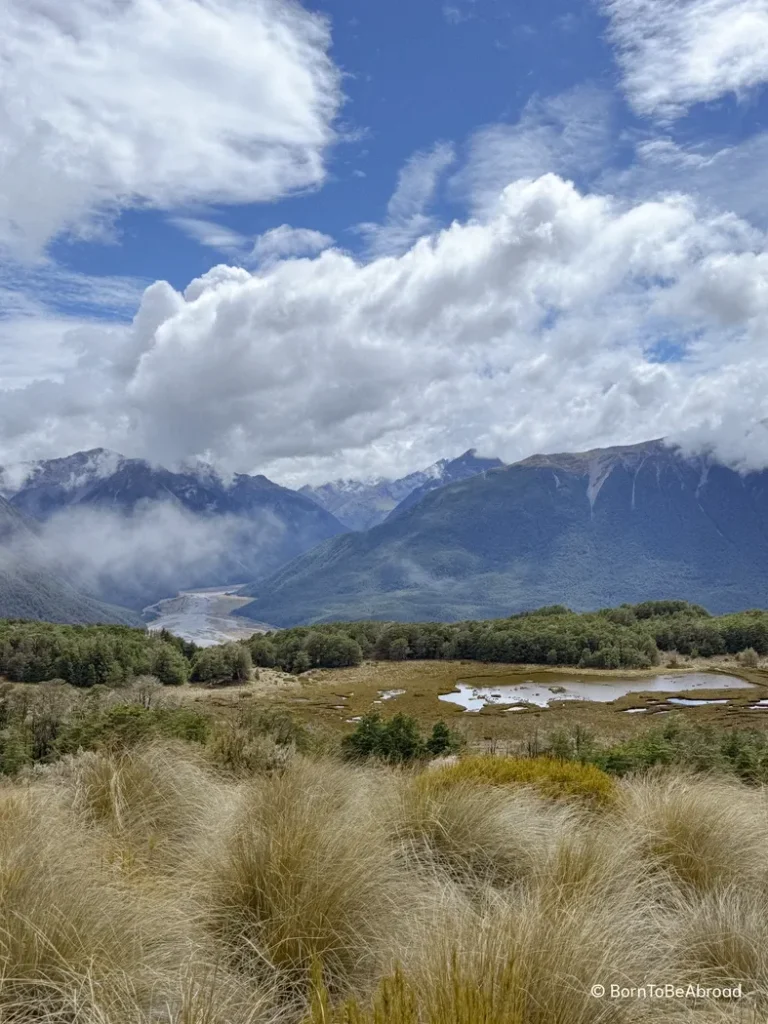 Herbes hautes avec en arrière plan des montagnes