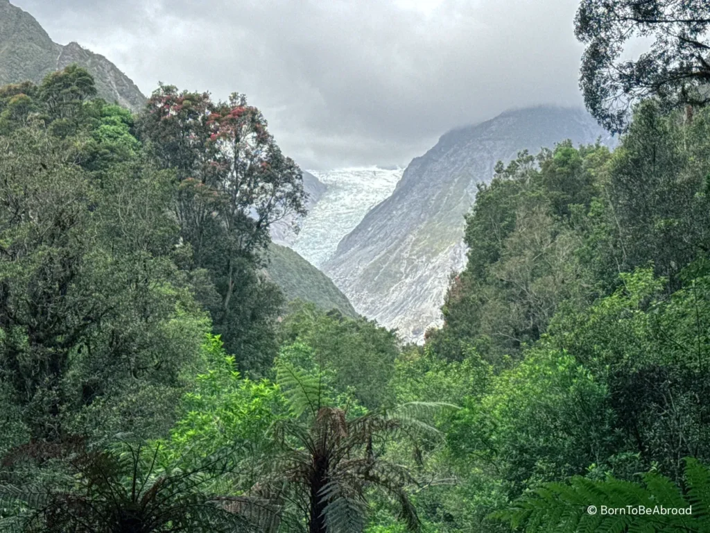 Point de vue sur un glacier au milieu d'une forêt tropicale