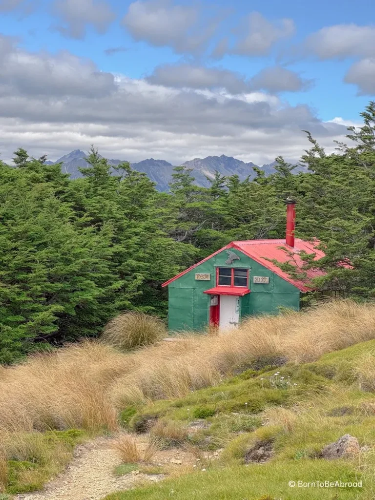 Cabane au toit rouge posé au milieu de la végétation