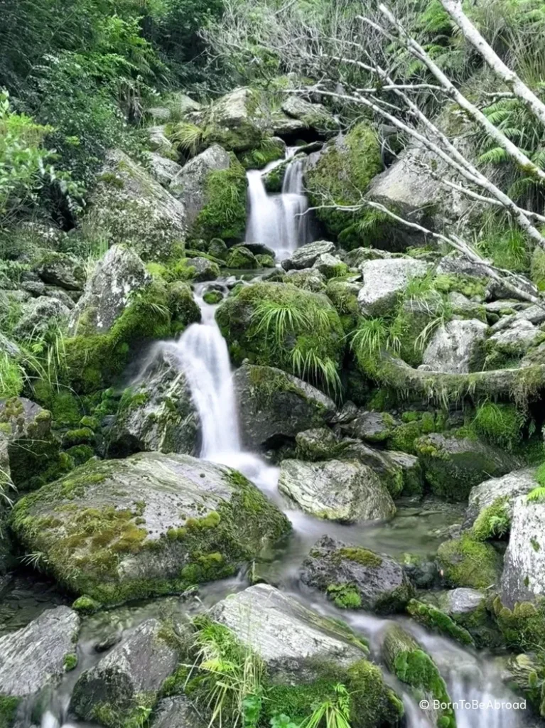 Une petite cascade s'écoulant sur les rochers dans une forêt