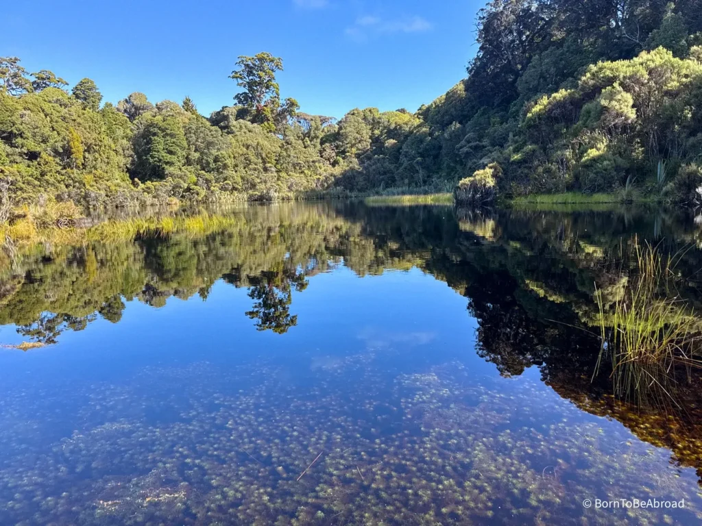 Forêt se reflétant dans le lac Milkie en Nouvelle-Zélande