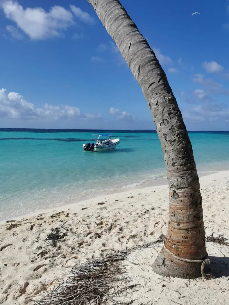 Canto de la Playa montrant un bateau à moteur