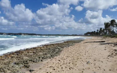 1 Semaine à Punta Cana : Mon Budget Détaillé de 1041€/pers