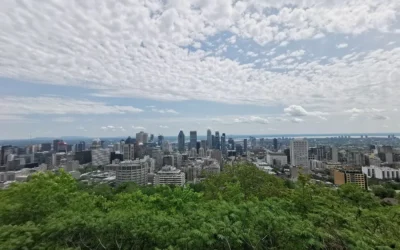 Quoi Visiter à Montréal : Mon Guide Complet pour Explorer la Ville !