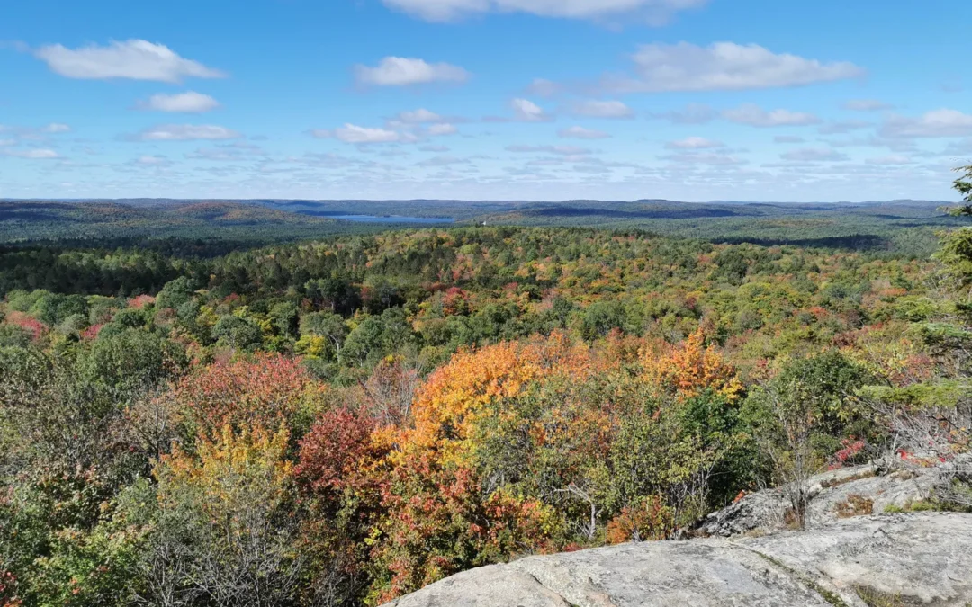 Week-end de 3 jours au Parc provincial Algonquin en Ontario