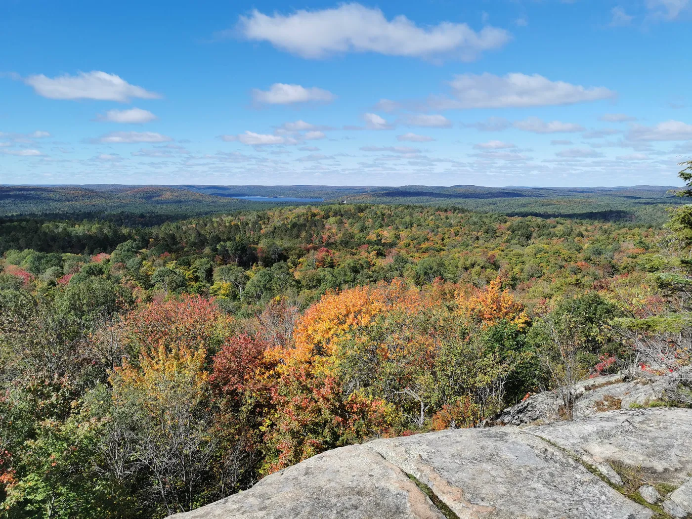 Vue sur le parc provincial Algonquin