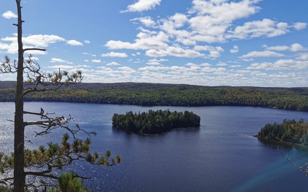 10 Raisons de Choisir le Permis Vacances Travail Canada en 2024