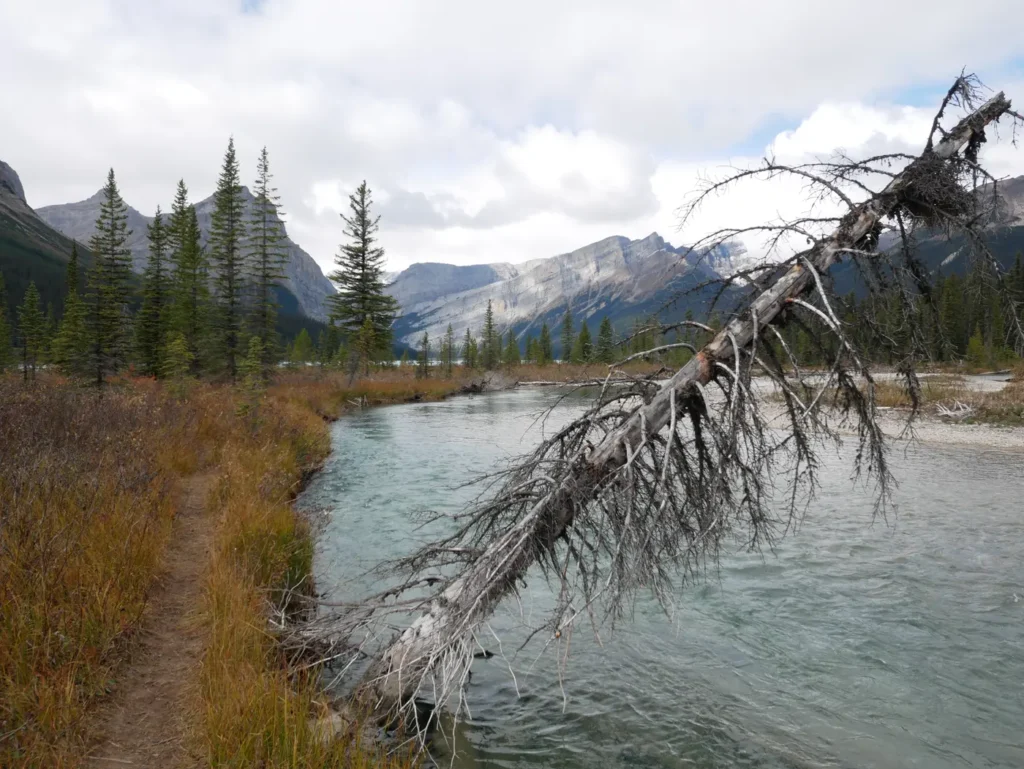 Sentier longeant une rivière. Montagnes en arrière plan