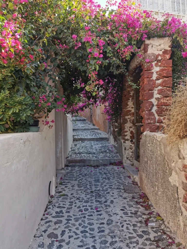 Ruelle étroite pavée d'Oia