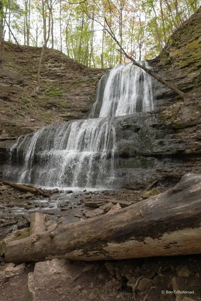 Une belle cascade entourée d'arbres, avec un tronc d'arbre tombé, ajoutant du charme à ce paysage forestier.