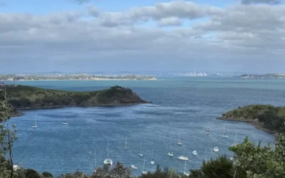 Waiheke Island que faire : L’île qui m’a réconciliée avec Auckland !