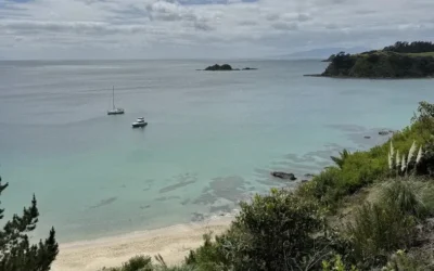 Visiter Waiheke Island : Mon Récit d’Une Journée de Rando à Pied