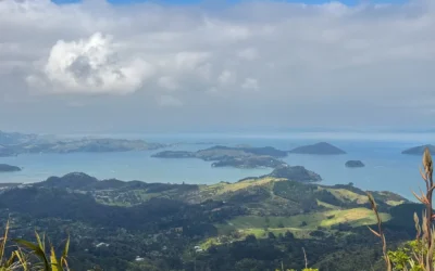 Visiter Coromandel : Road Trip de 6 Jours en Van