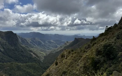 The Pinnacles : La Randonnée Incontournable des Coromandel