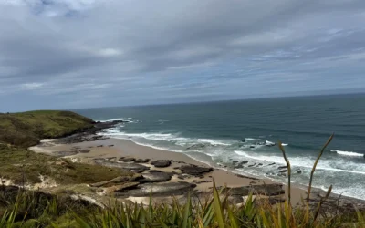 Northland Nouvelle-Zélande : Mon Road Trip et Mes Galères