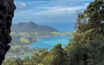 Visiter Northland en Nouvelle-Zélande : Mon Guide Coups de Cœur