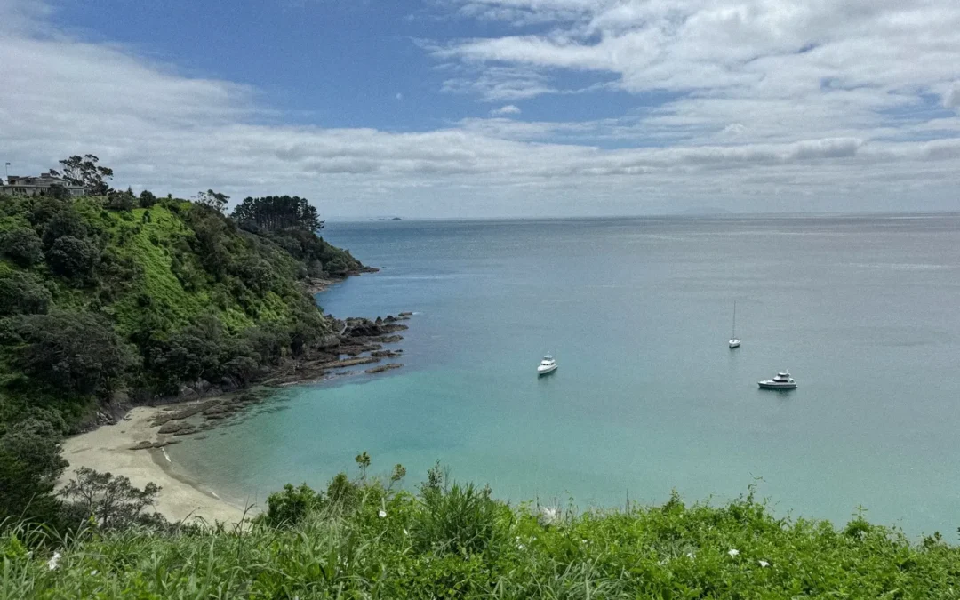 Que Faire sur Waiheke Island ? Mon Récit d’Une Journée à Pied