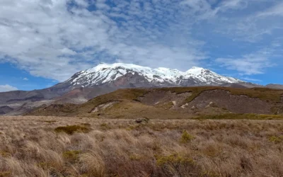 Parc National de Tongariro : Au-Delà de la Alpine Crossing