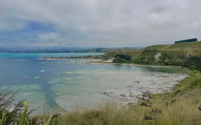 Que faire à Kaikoura ? 7 activités qui m’ont fait craquer