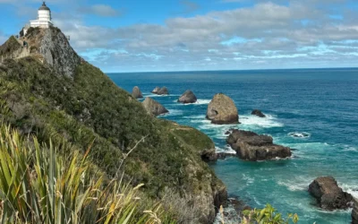 Les Catlins Nouvelle-Zélande : Cette Région Qui Va Te Surprendre