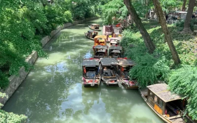 Que faire à Suzhou : Guide complet de la « Venise de l’Orient » 🏮